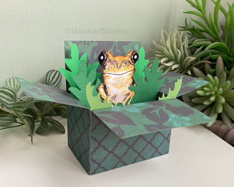 Frog Card; Personalised, Birthday or Blank. Gift card holder for frog lovers