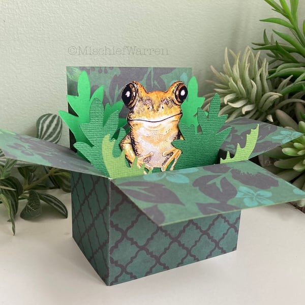 Frog Card; Personalised, Birthday or Blank. Gift card holder for frog lovers