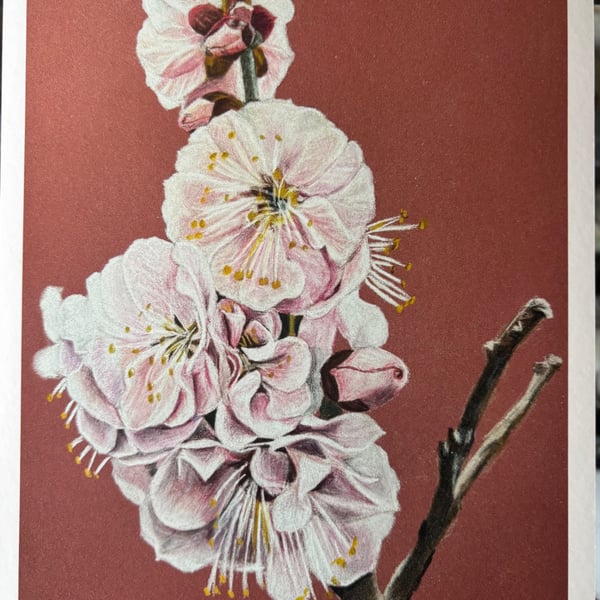Cherry blossom print