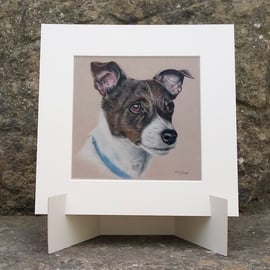 Jack Russell Dog Original Coloured Pencil Drawing