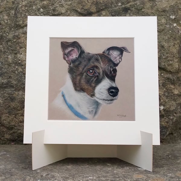 Jack Russell Dog Original Coloured Pencil Drawing
