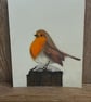 9x12 Perfectly Imperfect Pencil Drawing Robin Bird Art - Image 2