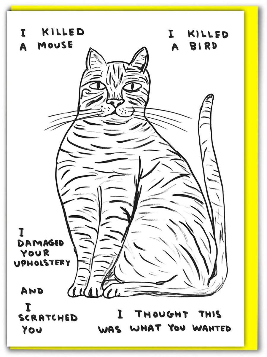 Funny Birthday Card, Cheeky Cards - I Killed A Mouse (SHRIGLEY107)