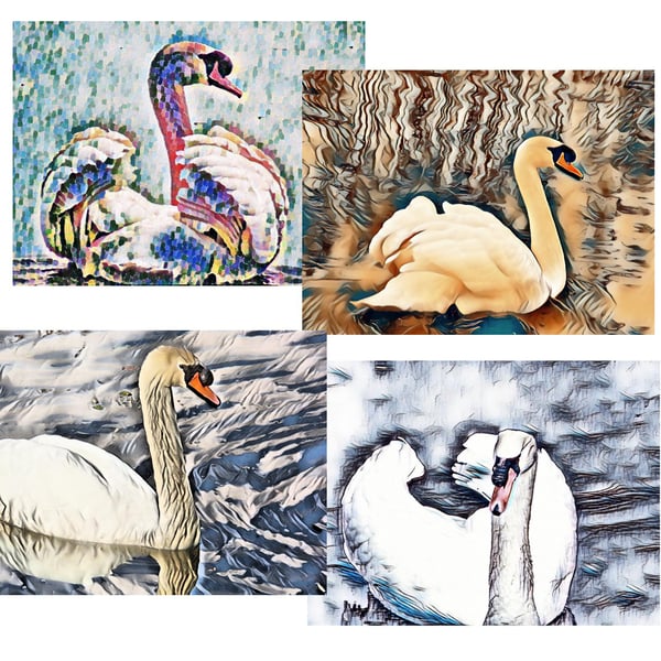 Pack of 4 A4 Male Swans Art Prints Glossy & Matt Finish Available.