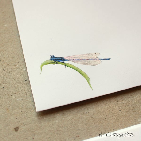 Hand Finished Damselfly Letter Writing Paper Pack of 10 By CottageRts