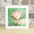 Floral Blank Card Rose