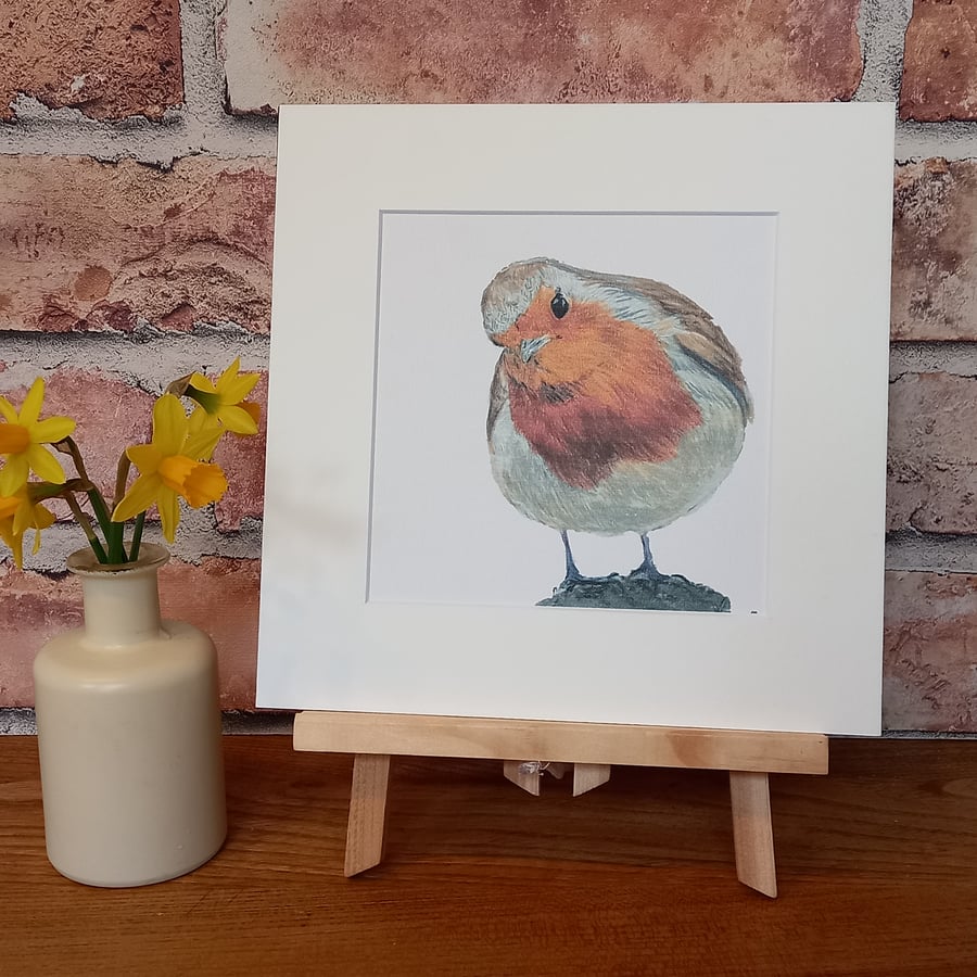 Robin mounted art print