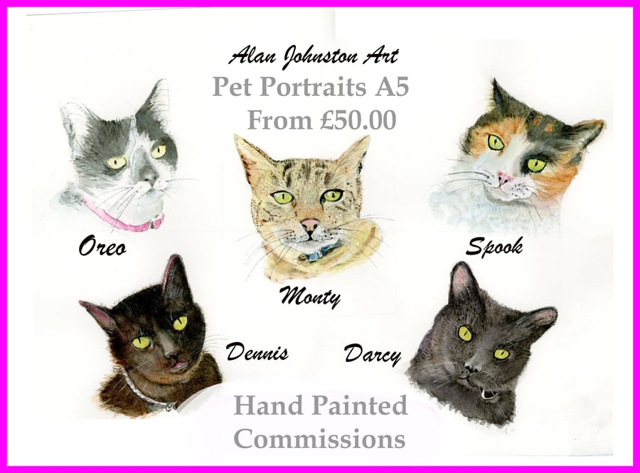 Pet Portraits