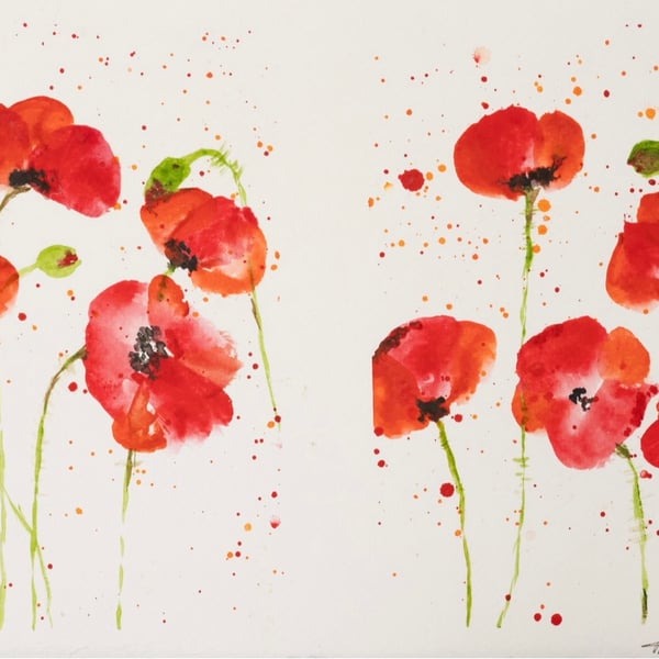 She Always Had to Stop for Roadside Poppies