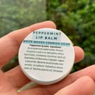 Peppermint Lip Balm - natural - plastic-free