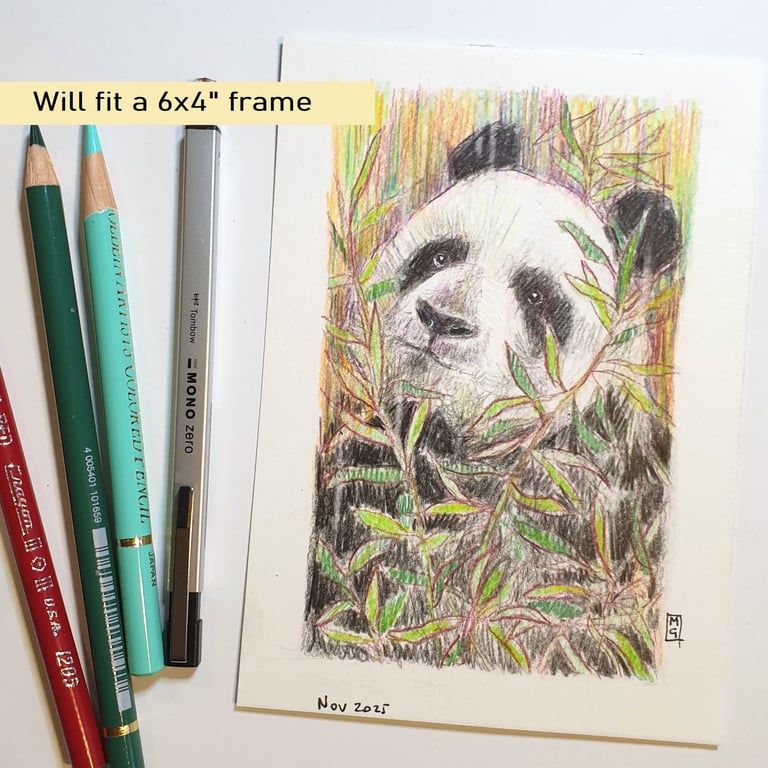 Little panda drawing, letterbox art gift, original drawing