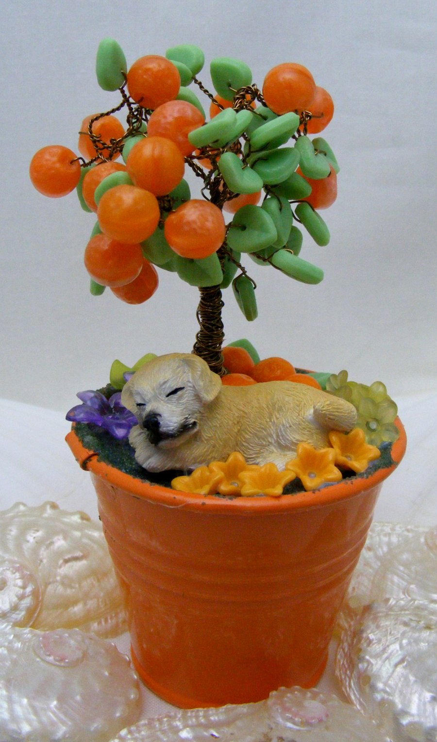 Orange Fruit Tree with sleeping Dog.