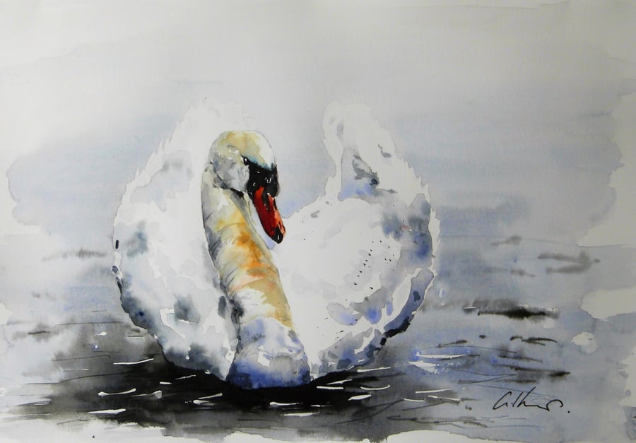 Swan, Original Watercolour Painting.