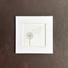 November Birthstone Wish 5" x 5"