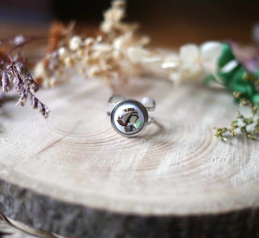 Hypoallergenic, Adjustable Silver Stainless Steel Ring - Real Shells