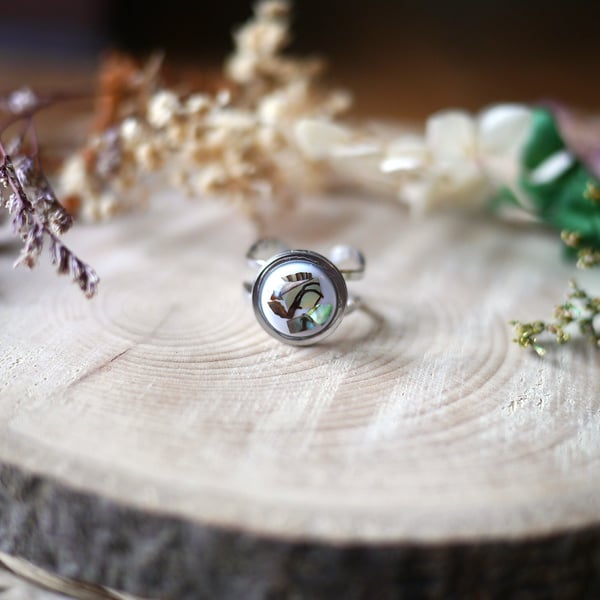 Hypoallergenic, Adjustable Silver Stainless Steel Ring - Real Shells