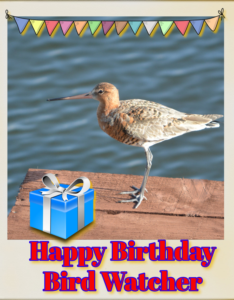 Happy Birthday Bird Watcher Card A5