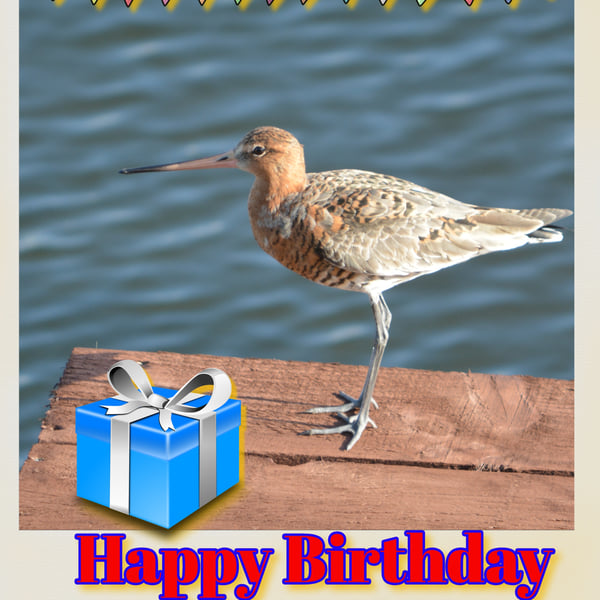 Happy Birthday Bird Watcher Card A5