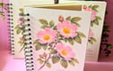 Notebooks