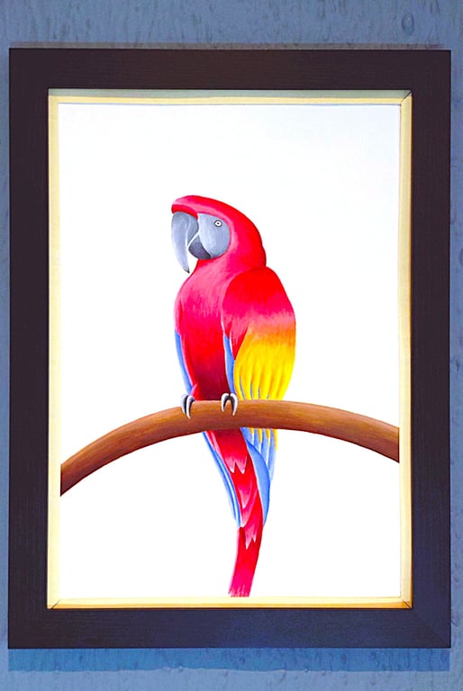 Handmade Unique Framed A3 Print Colourful Macau Parrot Vanilla Border Wallart