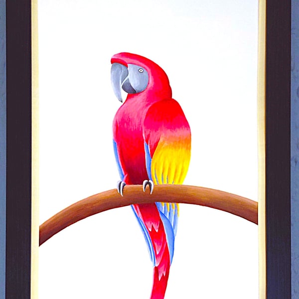 Handmade Unique Framed A3 Print Colourful Macau Parrot Vanilla Border Wallart