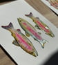 Hand Finished Watercolour Signed Art Print - Rainbow Trout Trio - Image 2