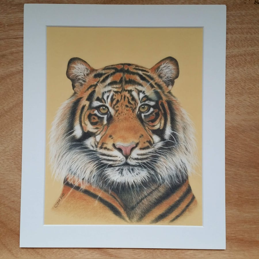 TIGER ART PRINT WITH MOUNT