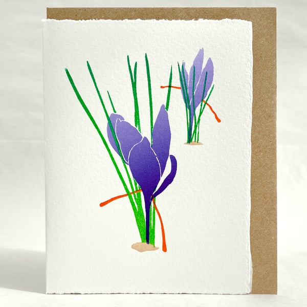 Cornish Saffron Crocus - Original LinoCut Hand Printed card