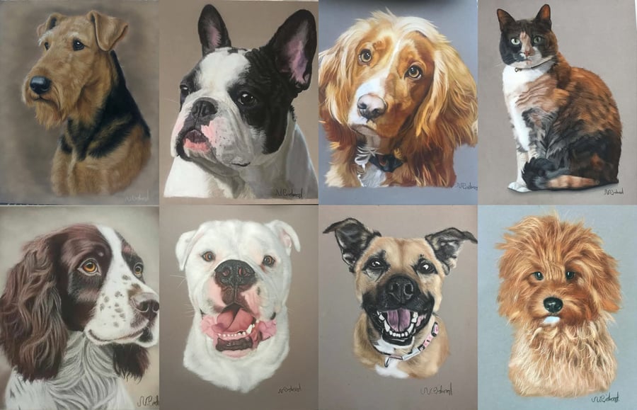 Handmade Pastel Pet Portraits 