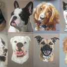 Handmade Pastel Pet Portraits 