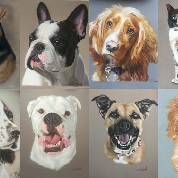 Handmade Pastel Pet Portraits 