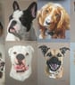 Handmade Pastel Pet Portraits 
