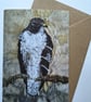 Buzzard Greetings Card