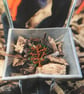Upcycled Hand Embroidered Nature Tote Bag - Image 4