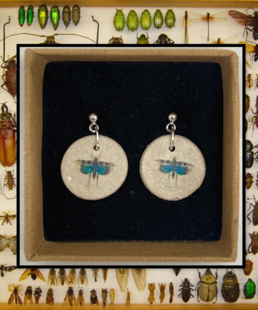 Bug stud clay earrings