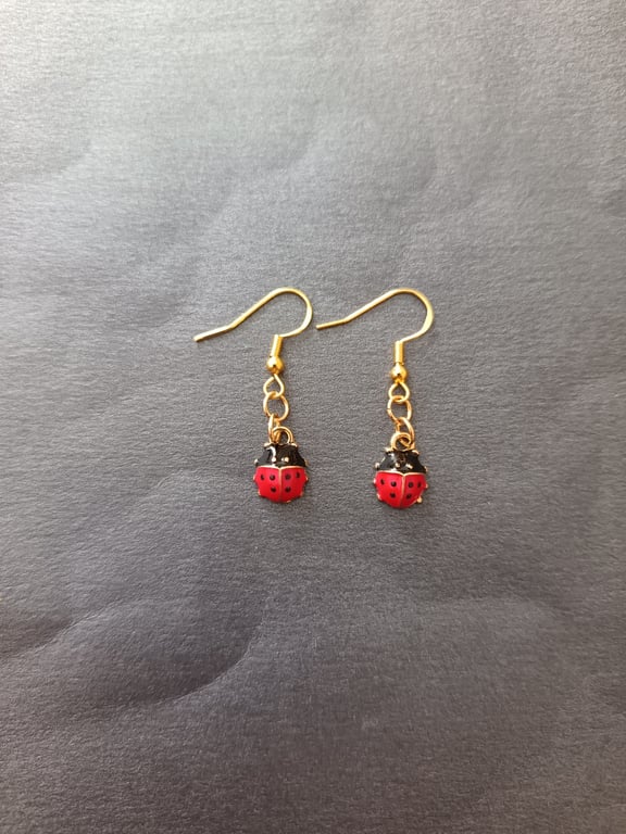 Gold, red and black ladybird charm dangle earrings 
