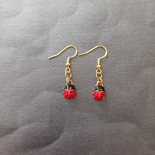Gold, red and black ladybird charm dangle earrings 