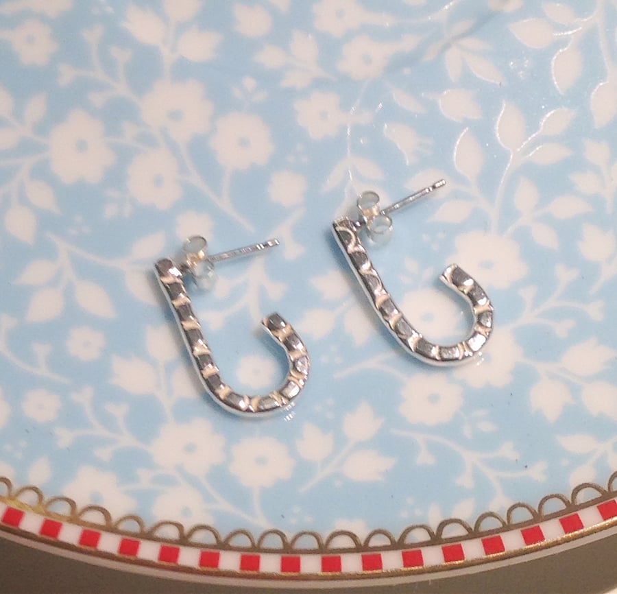 Sterling Silver Earrings (ERSSSTTD3) - UK Free Post