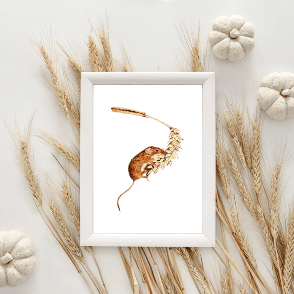 Harvest Mouse Drawing  Giclee Fine Art Print A4