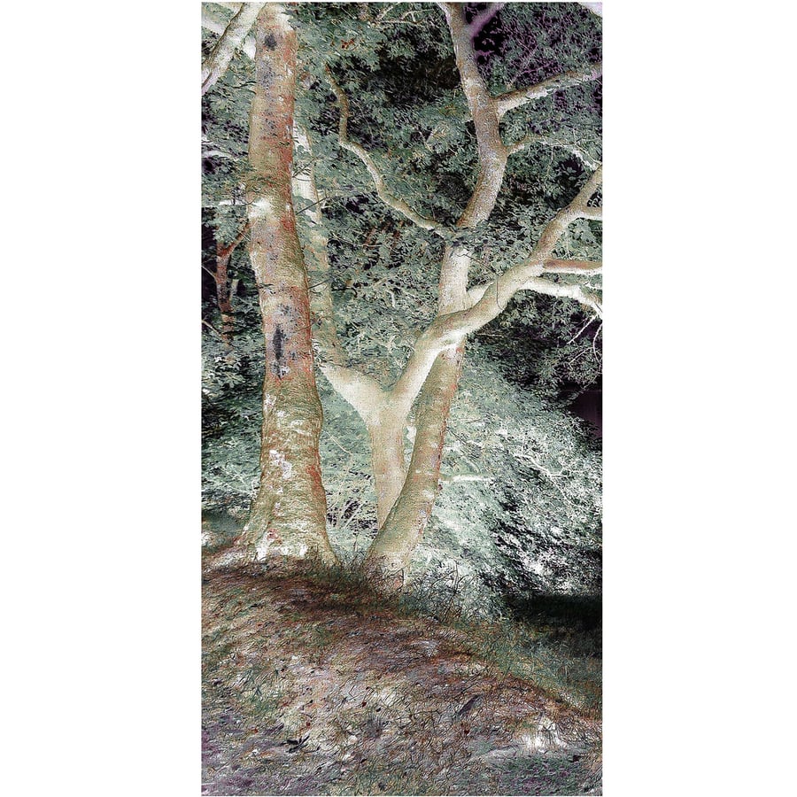 OriginalPrint 'Wood By Night 1'. (A2 size)