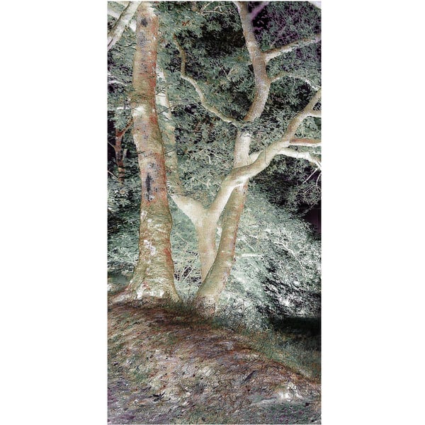 OriginalPrint 'Wood By Night 1'. (A2 size)