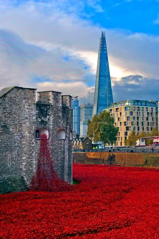 Tower of London Red Poppy Poppies Photograph Print