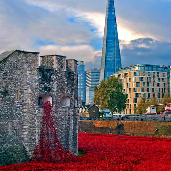 Tower of London Red Poppy Poppies Photograph Print
