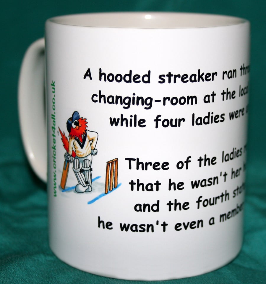 Funny cricket joke mug - The Streaker