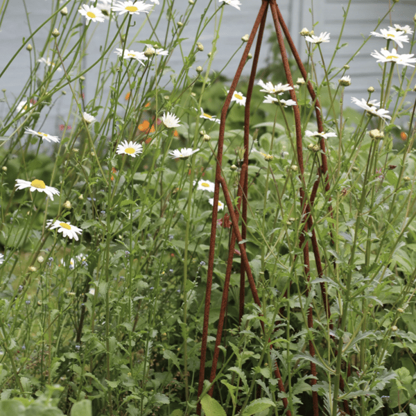 Large Rusty Square Obelisk Garden Sculpture, Metal Garden Plant Support Frame 2m