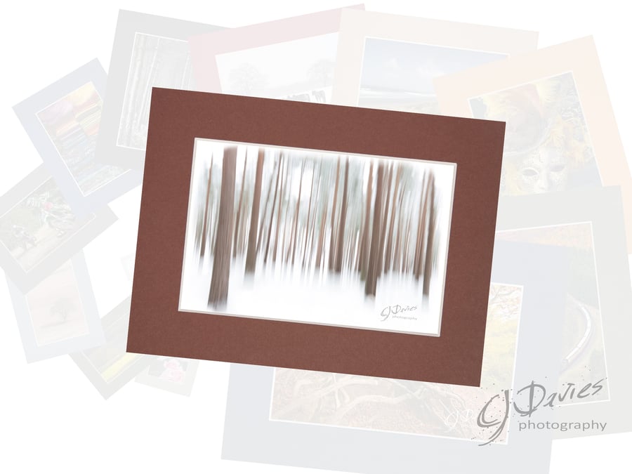 CJ167 - Winter pines