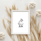 Unframed Baby Chick drawing Giclee 