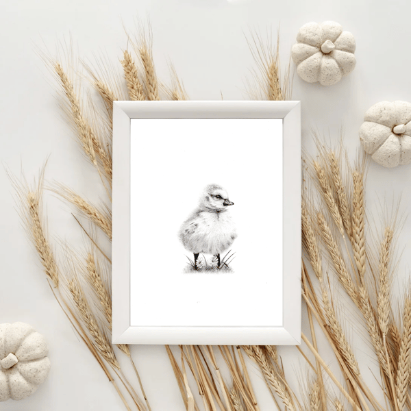 Baby Chick drawing Giclee Fine Art Print A4