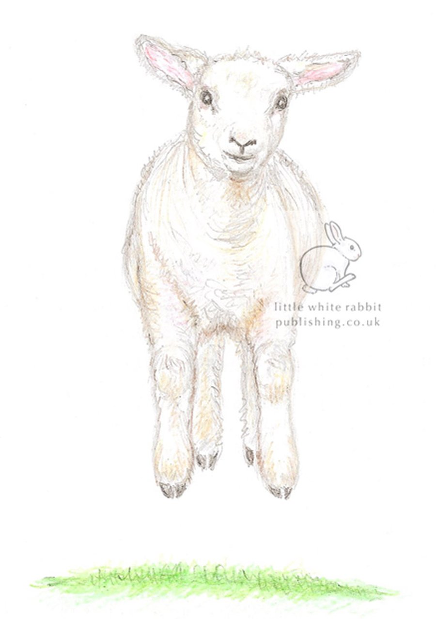 Lamb Jumping - Blank Card