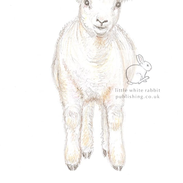 Lamb Jumping - Blank Card